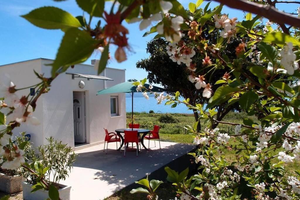 Summerhouse Calypso Spalato Esterno foto